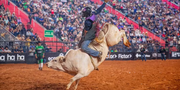 Rodeio-PBR.avif.avif
