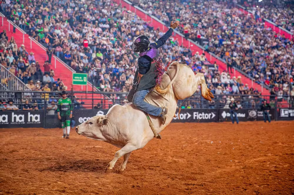 Rodeio-PBR.avif.avif